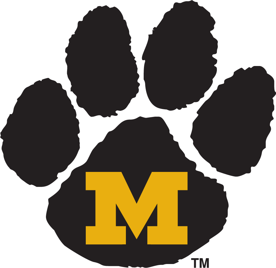 Missouri Tigers 1995-1999 Primary Logo diy iron on heat transfer